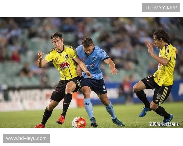 足球赛事数据统计细化，助攻、抢断等关键指标受关注